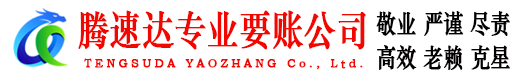 六安腾速达清债公司